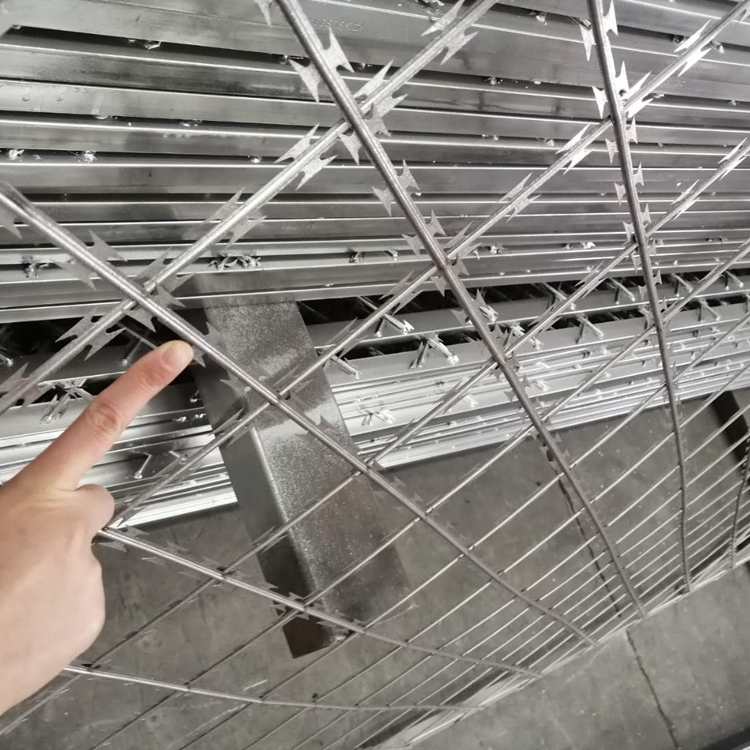 山東直線型刀片刺網(wǎng)圖片2 山東直線型刀片刺網(wǎng)圖片2