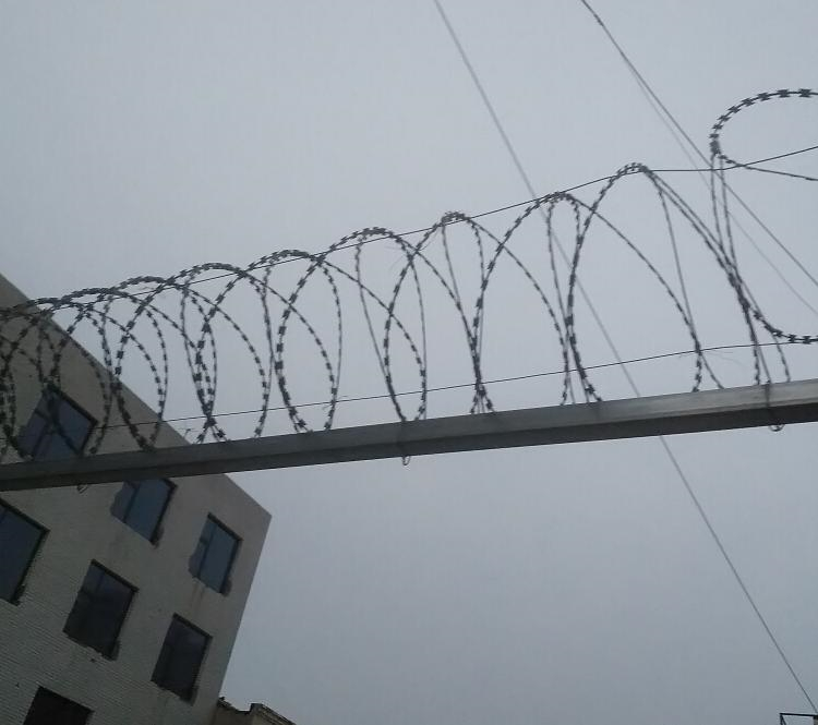 山東不銹鋼滾籠網圖片1