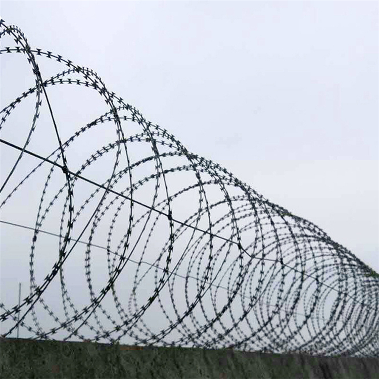 山東刺絲滾籠圖片1