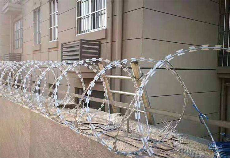 山東刺絲滾籠圖片3