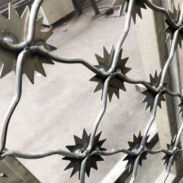 山東監獄太陽花護欄網圖片4