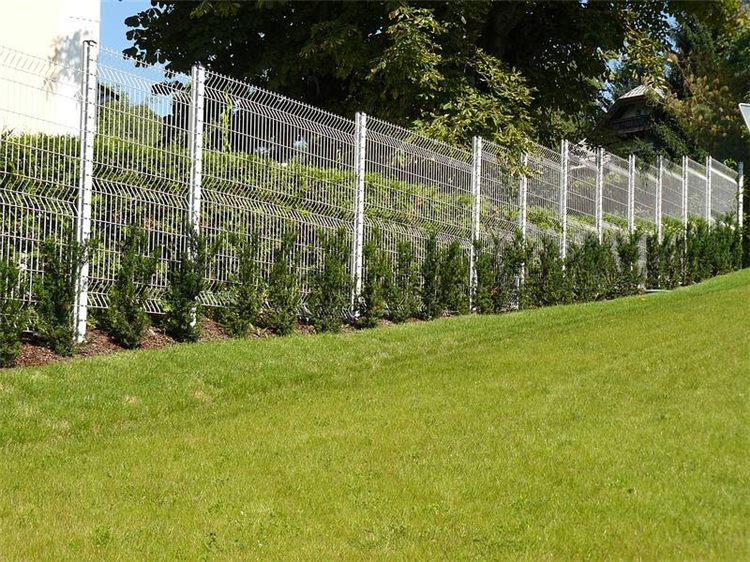 山東景區隔離網圖片2