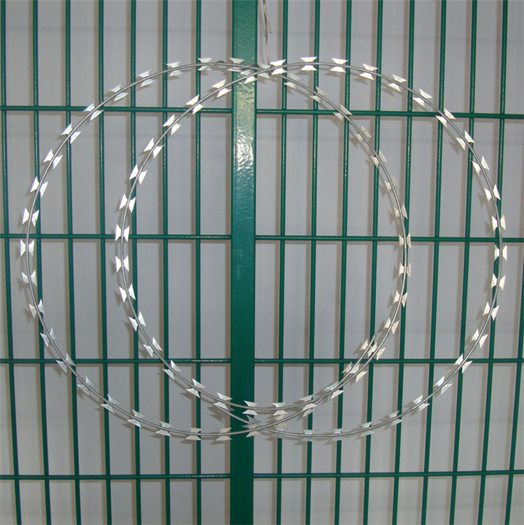 山東蛇形刀刺網