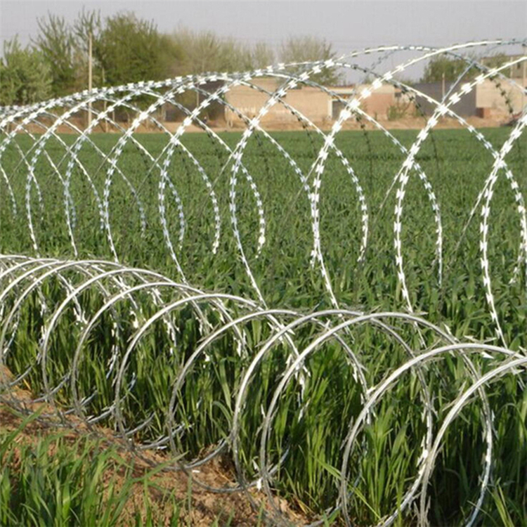 山東圍墻防爬刺網圖片4