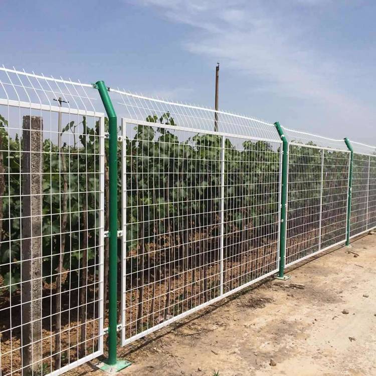 山東草原圍欄網圖片3