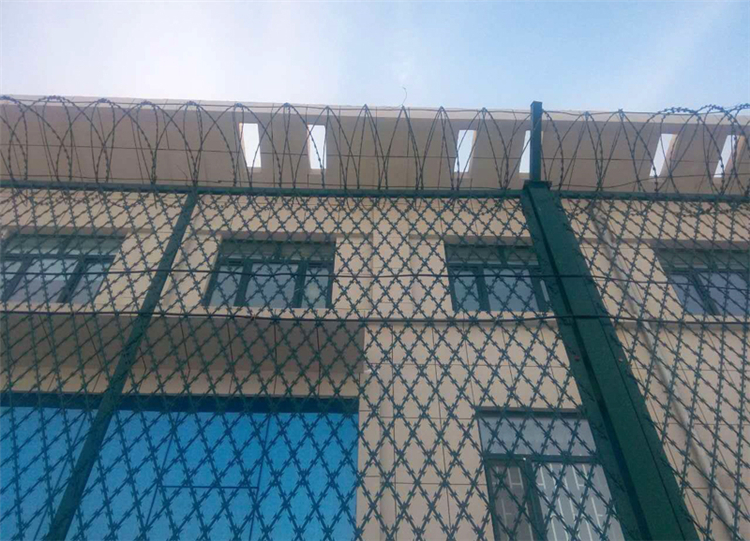 山東雙刀片防攀爬網(wǎng)