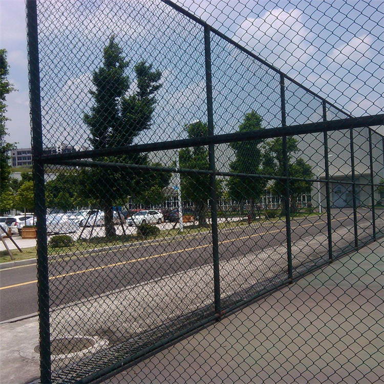 小區球場圍網圖片2 小區球場圍網圖片2
