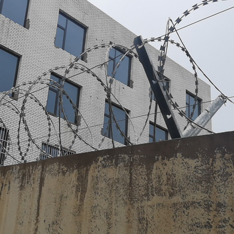 山東云南刀片刺繩圖片3