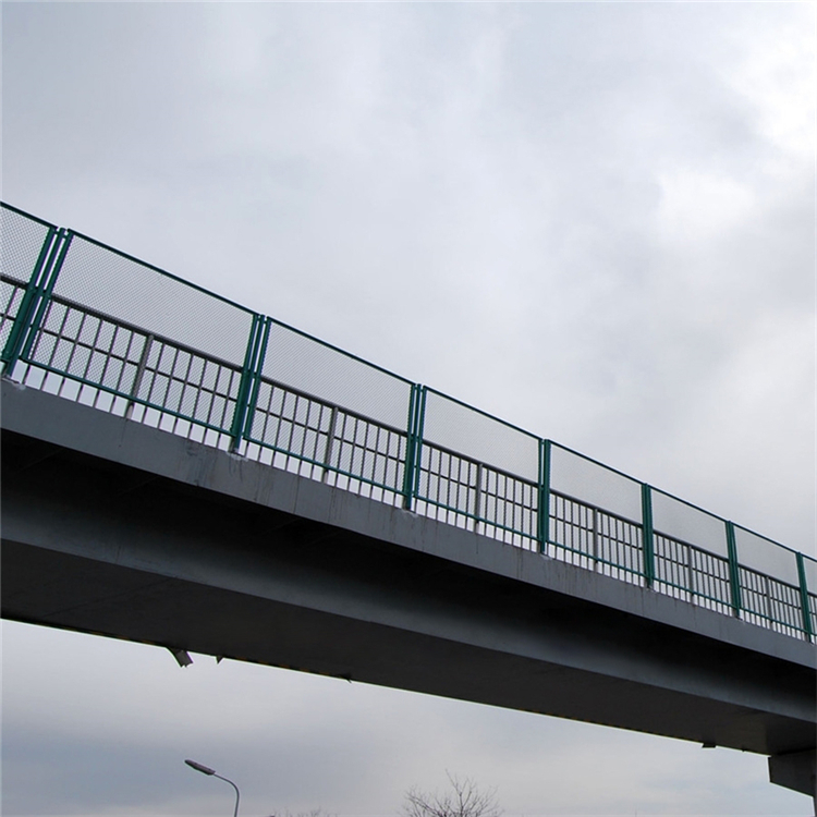 山東橋梁防拋物隔離柵圖片2