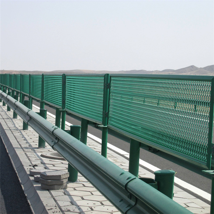 山東雙立柱防眩網