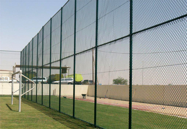 山東足球場防護網(wǎng)圖片4 山東足球場防護網(wǎng)圖片4
