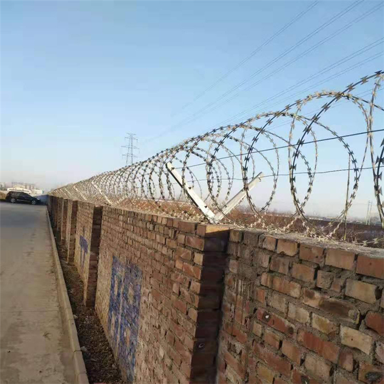 山東螺旋形刀刺網(wǎng)圖片2