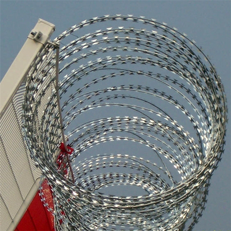 山東刺絲滾籠圖片2