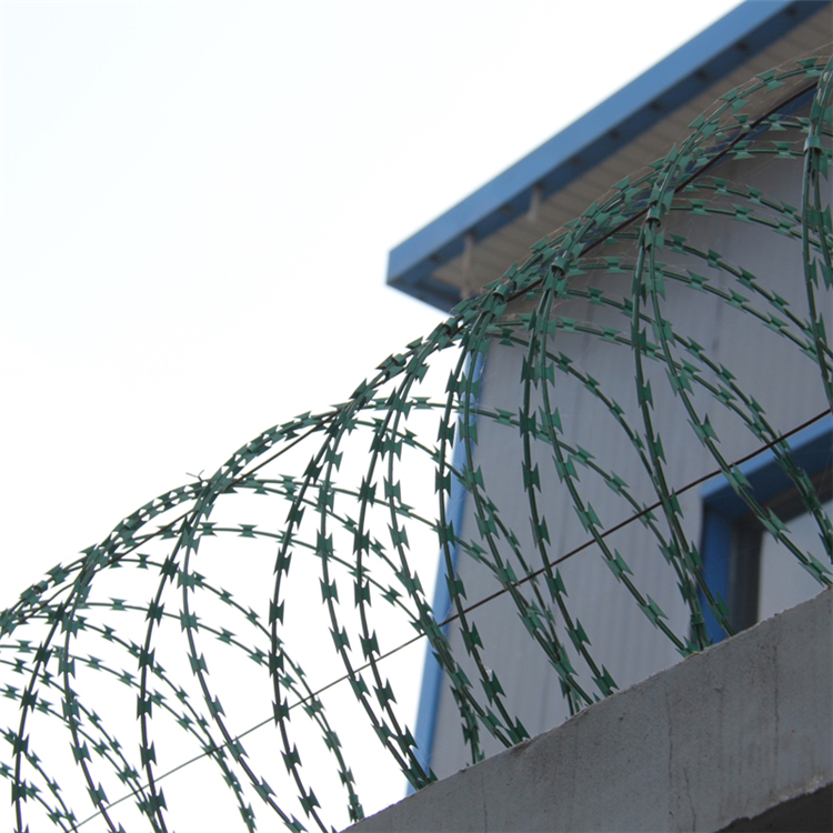 山東刺絲滾籠圖片3