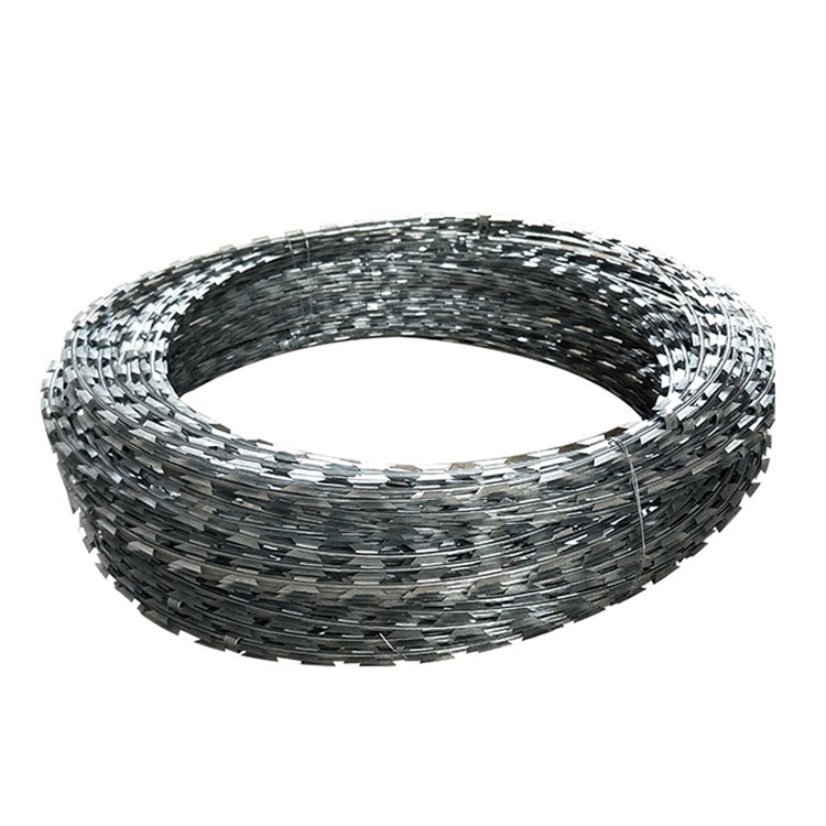 山東刺絲滾籠圖片4