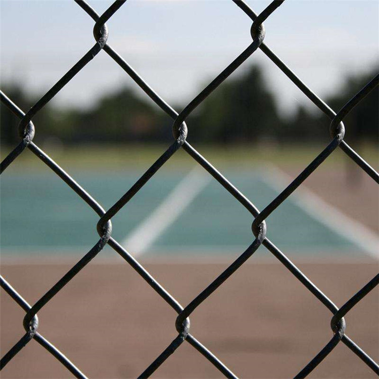 山東體育場(chǎng)勾花圍網(wǎng)圖片3