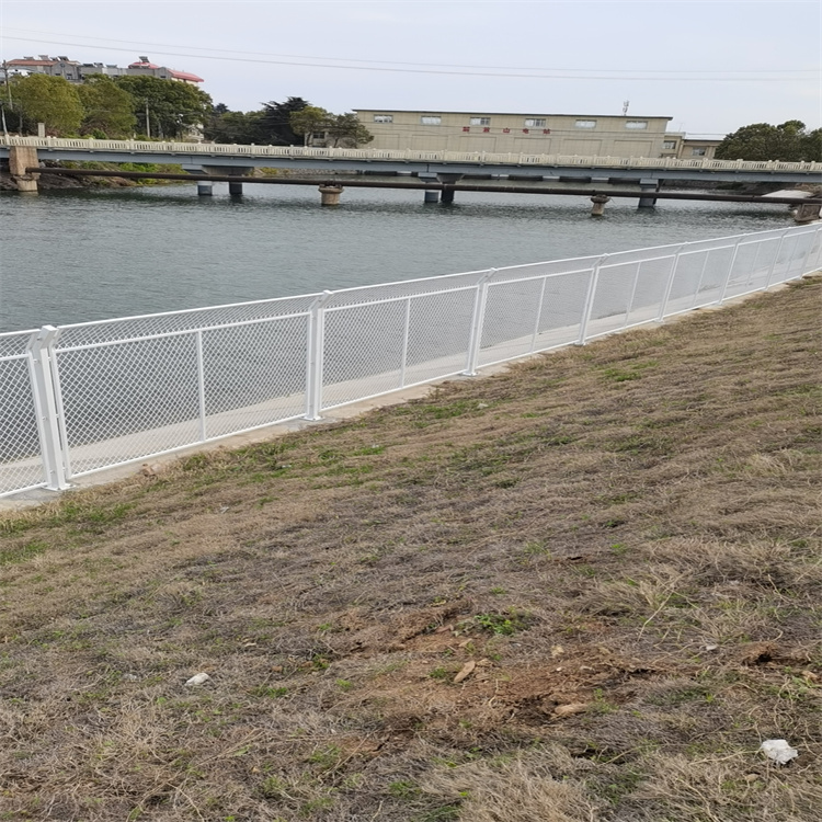 山東云南水庫鋼鐵絲網工程案例