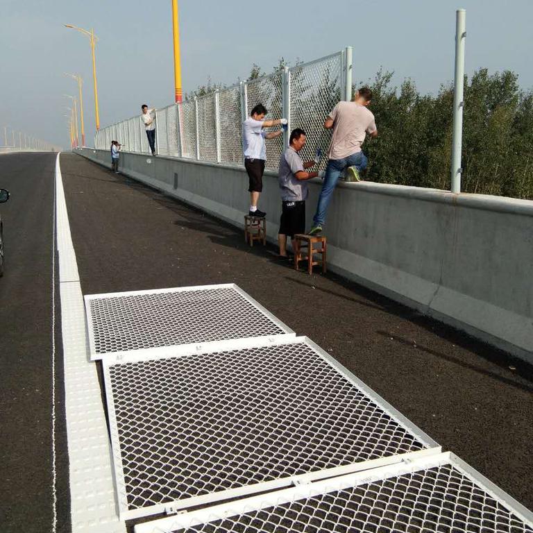 山東高速公路防拋網