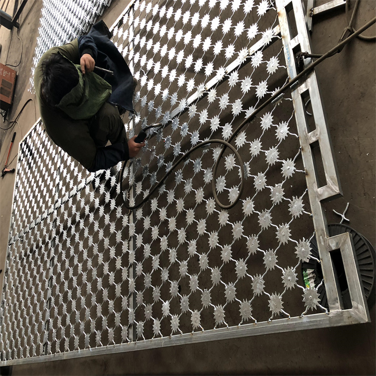 山東監(jiān)獄熱鍍鋅梅花刺片隔離網(wǎng)生產(chǎn)安裝圖片1 山東監(jiān)獄熱鍍鋅梅花刺片隔離網(wǎng)生產(chǎn)安裝圖片1