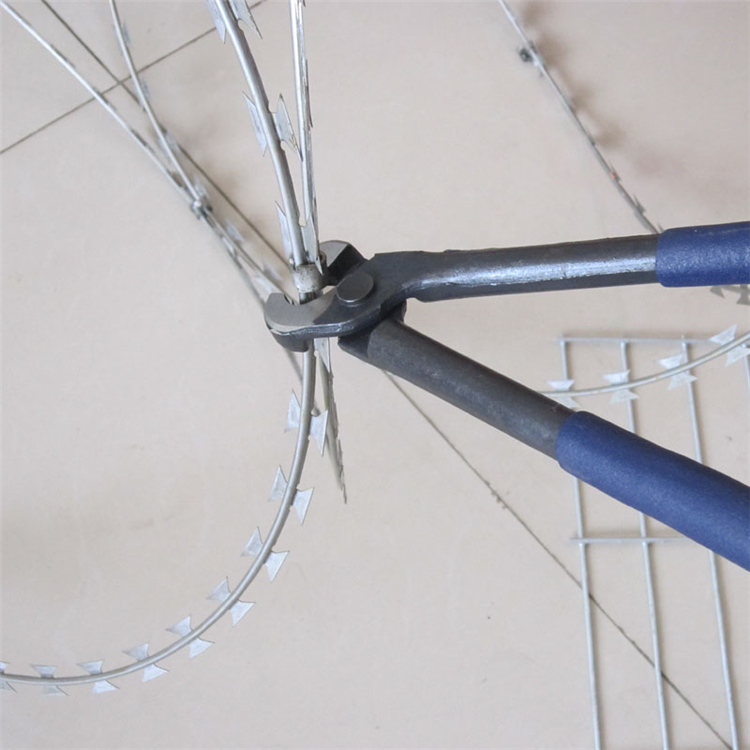 山東熱鍍鋅不銹鋼刀片刺網型號推薦圖片6