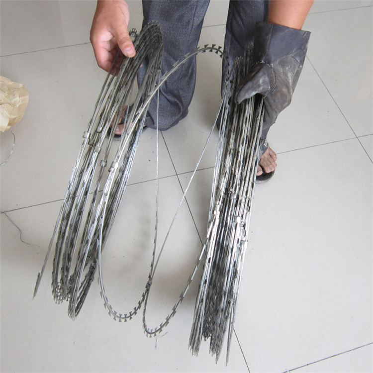 山東熱鍍鋅不銹鋼刀片刺網型號推薦圖片8