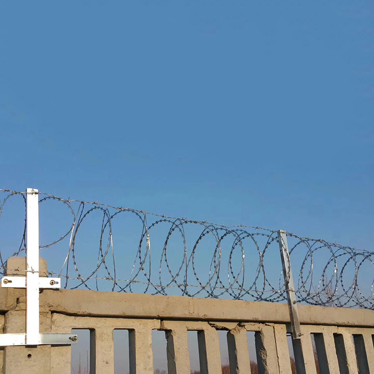 山東熱鍍鋅刺絲滾籠生產(chǎn)廠家圖片2