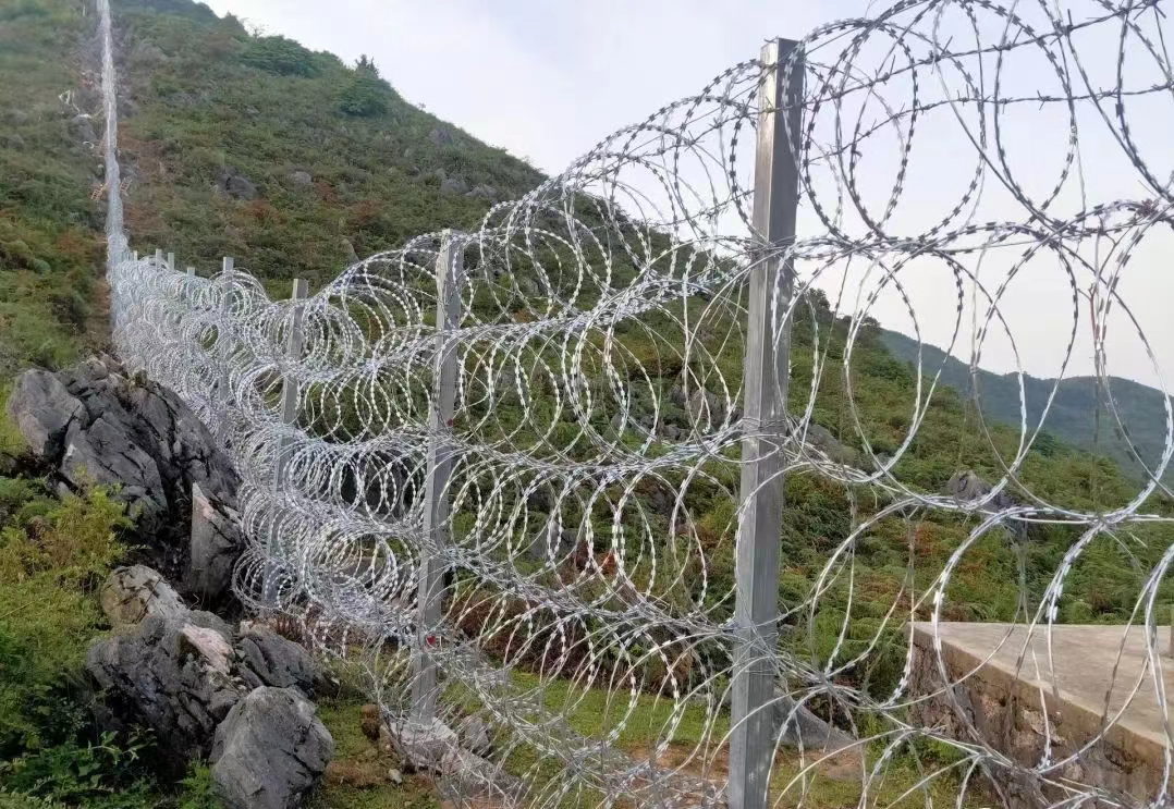 山東邊境刀片滾籠阻隔網(wǎng)圖片2