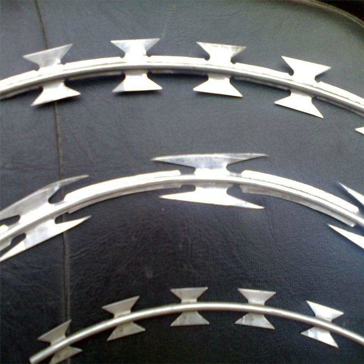 山東不銹鋼刀刺網Ф500mm現貨圖片2 山東不銹鋼刀刺網Ф500mm現貨圖片2