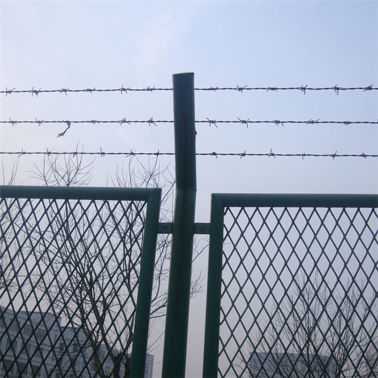 山東保稅區菱形護欄網圖片2